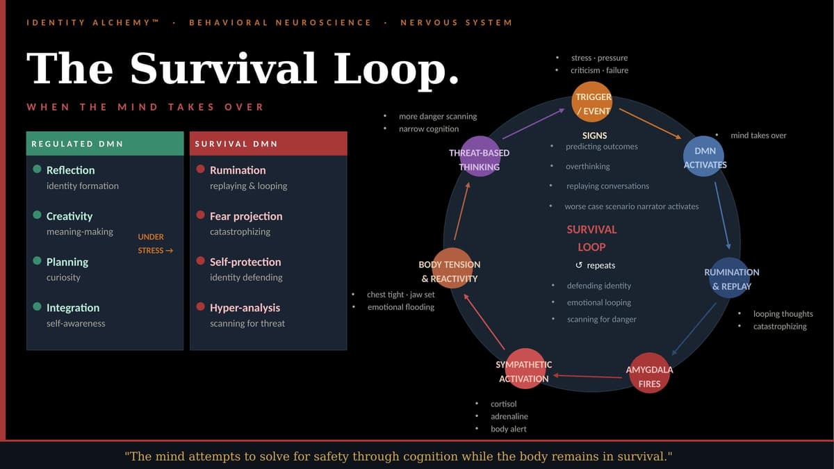 The Survival Loop — Identity Alchemy™ behavioral neuroscience diagram